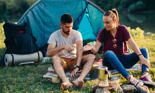 Common Insects You May Find While Camping