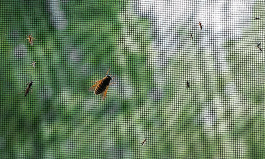 The History of Insect Control and Bug Screens