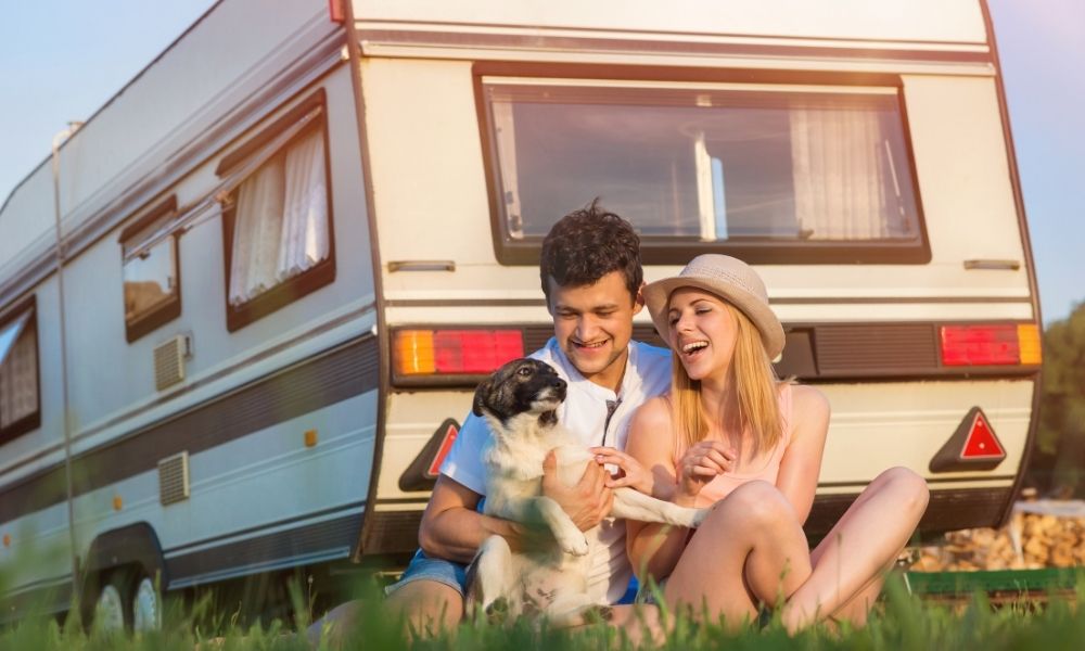 5 Must-Know Tips for Van Camping With Your Dogs