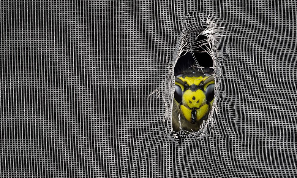 3 Common Causes of Damage in Bug Screens