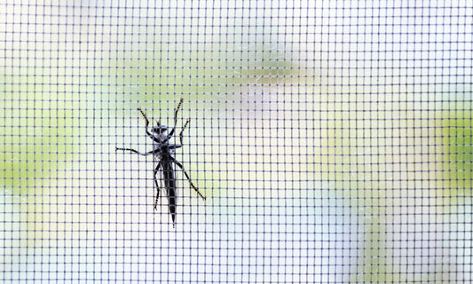 Reasons Why Bug Screens Are Better Than Insect Repellant