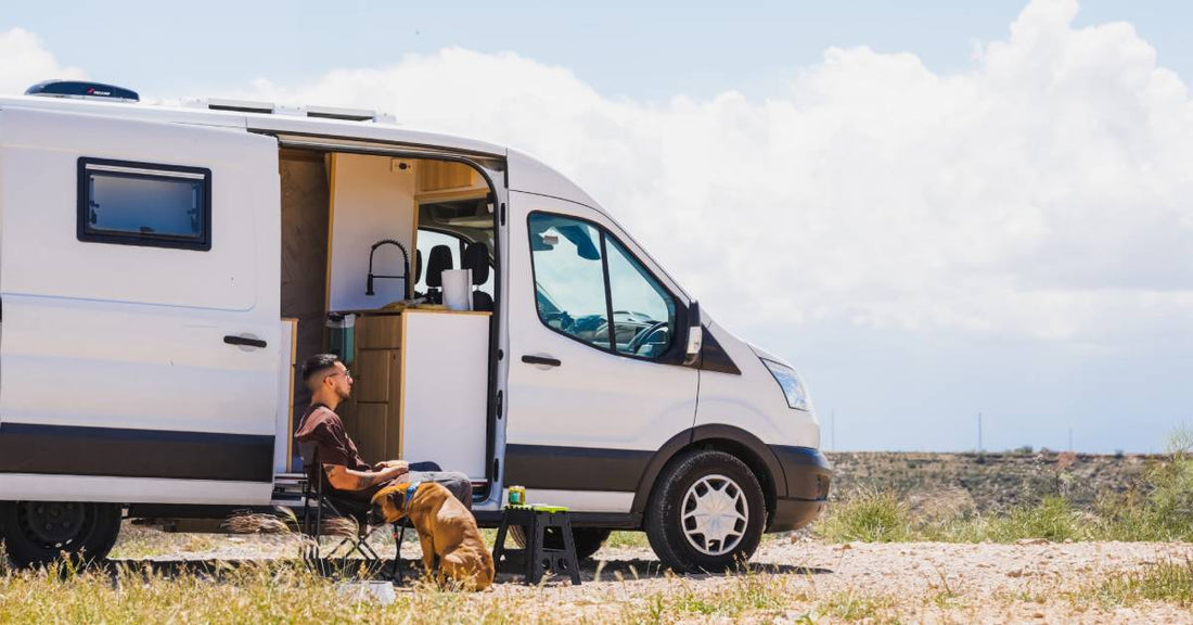 A man relaxing outside his camper van with his dog in an open grassy field. Large clouds are visible in the distance.