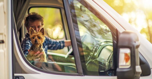 A senior woman sits in the driver's seat of a vehicle, holding a small brown dog looking out the window.